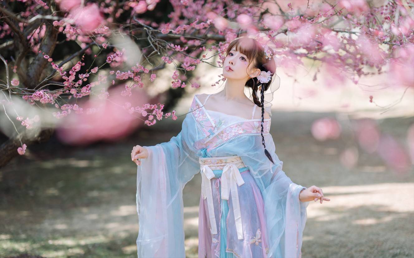 紫氯氯 – 二月梅花